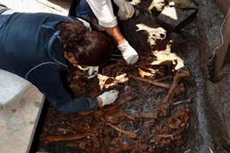 Hallan entierro y vestigios de “árbol sagrado” en Templo Mayor