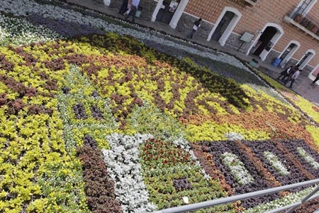 Atlixco presume tapete floral en el zócalo