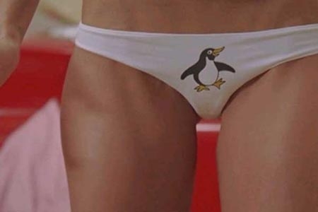 ¿A quién pertenece el pingüino?