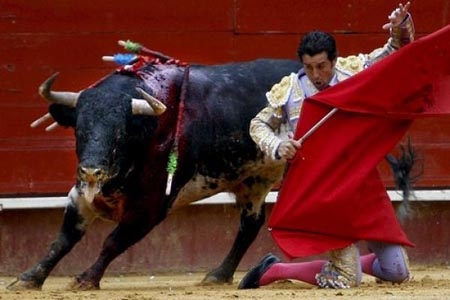 YouTube retirará videos sobre corridas de toros