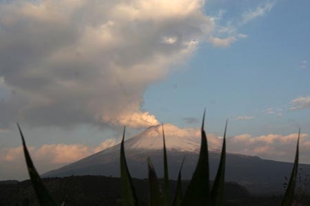 Popocatépetl registra 50 exhalaciones en las últimas horas: Cenapred