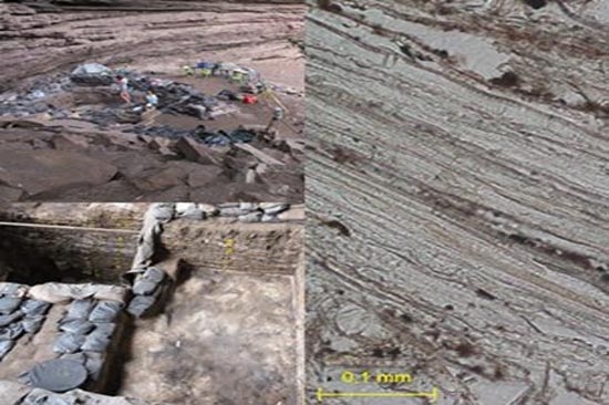 Colchones tienen 77 mil años de existencia