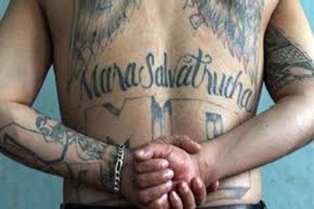 Detienen a “El Bufón”, presunto líder máximo de la Mara Salvatrucha