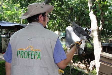 Profepa decomisa 92 ejemplares a zoológico en Veracruz; hubo maltrato