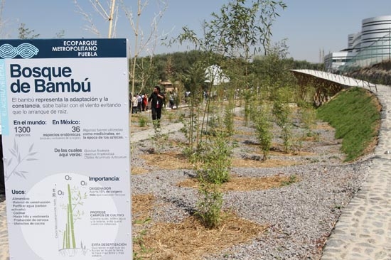 Gobierno de Puebla gana caso de Valle Fantástico