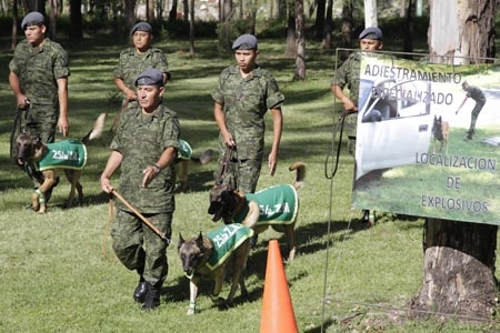 XXV Zona Militar organizó demostración de adiestro canino