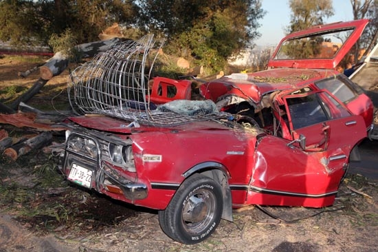 Árbol cayó sobre automóvil en Texmelucan y mató a dos niños