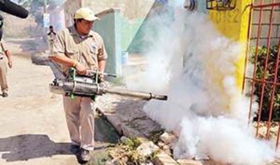 Despliegan acciones en Puebla para abatir dengue