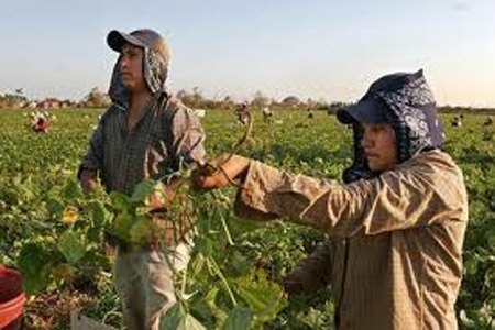 Migrantes mexicanos aportan 4.0% del PIB de Estados Unidos