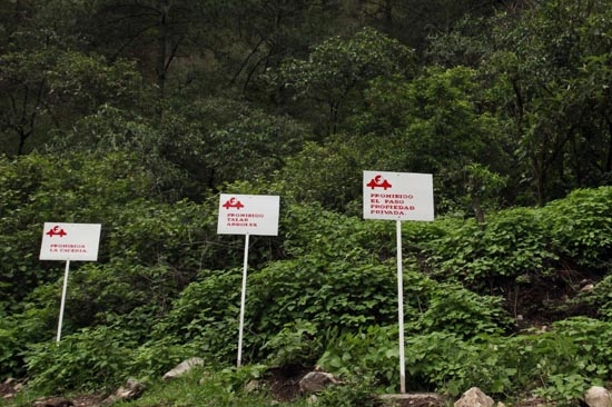 Tetela pide a RMV proteger legalmente la sierra amenazada por Carlos Slim