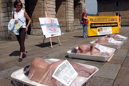 Veganismo: la salvación para el mundo