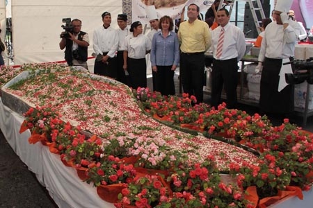 Puebla buscará denominación de origen para el chile en nogada