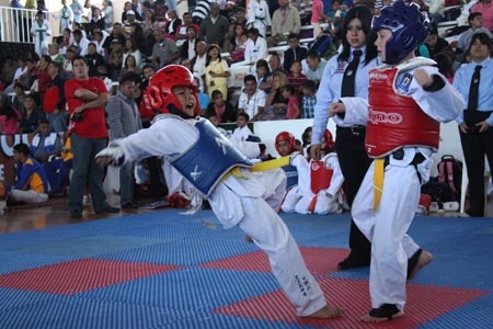 Alpha 2 realizó la Copa Jenkins de Taekwondo 2011