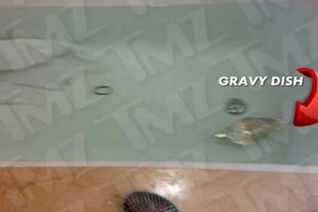 Whitney Houston, publican foto de la bañera donde murió