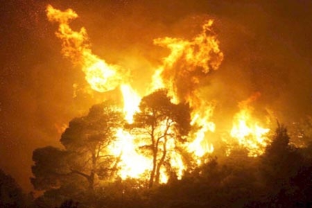 Incendios consumen más de 17 mil hectáreas de bosque en lo que va del año