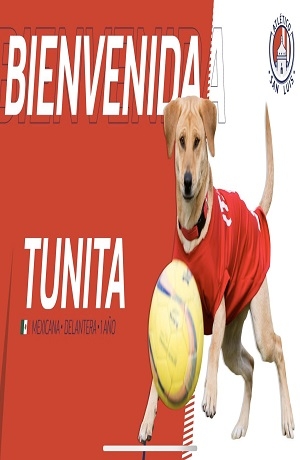 Atlético San Luis “fichó” a Tunita