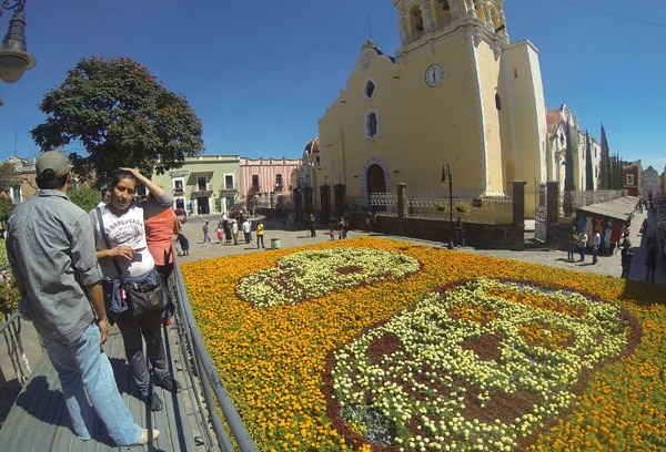 Instalan tapete floral monumental del Día de Muertos en Atlixco