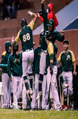 Pericos de Puebla amarra pase a playoffs de la Liga Invernal Mexicana
