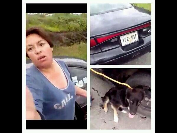 Denuncian en redes a mujer que arrastraba a su perro en la Puebla-Atlixco