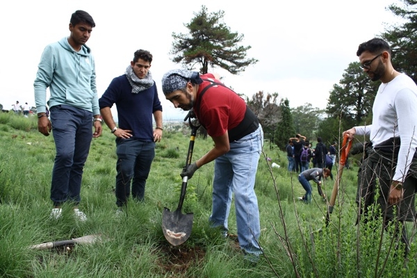 La UMAD siembra mil 400 árboles en el Cerro Zapotecas