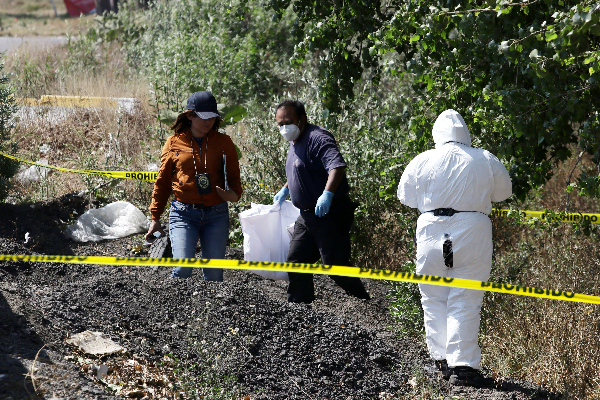 Hallan cadáver de un bebé en Coronango, a la altura de la autopista México-Puebla