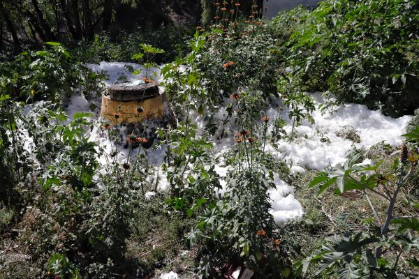 Descarga ilegal de Cruz del Sur provocó brote de espuma en alcantarillas de la colonia Reforma Sur