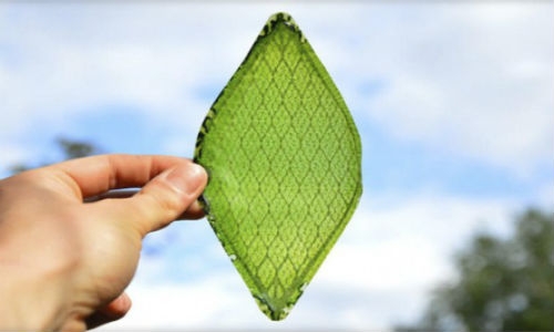 Hoja artificial ayudará a generar oxígeno en el espacio