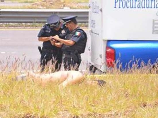 Ejecutan y marcan con zetas a líder juvenil del PRI en Guanajuato