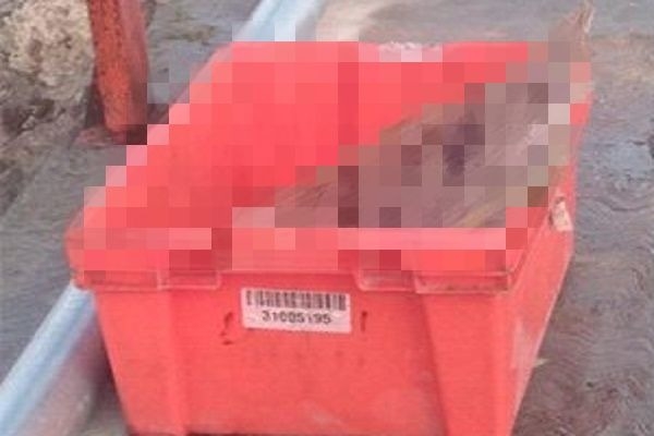 Hallan restos humanos al interior de una caja en Cañada Morelos