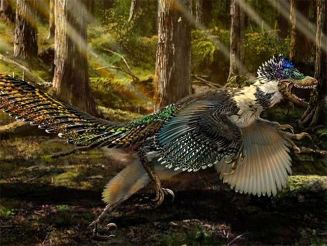 Descubren fósil de dinosaurio alado en China