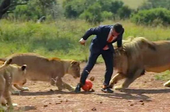 VIDEO: Cuidador de zoológico juega futbol con leones