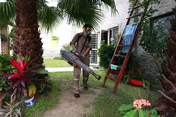 Casos de dengue grave aumentaron 25% en el estado de Puebla