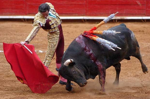 Guerrero admite ley contra uso de animales en circos y corridas de toros