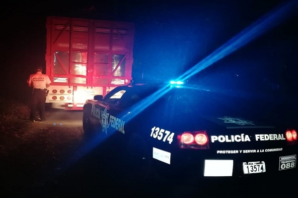 Policía Federal localizó camioneta robada con 11 toneladas de naranja en Huauchinango