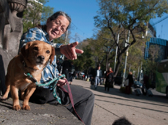 Mexicanos gastan mil 407 pesos mensuales en sus mascotas