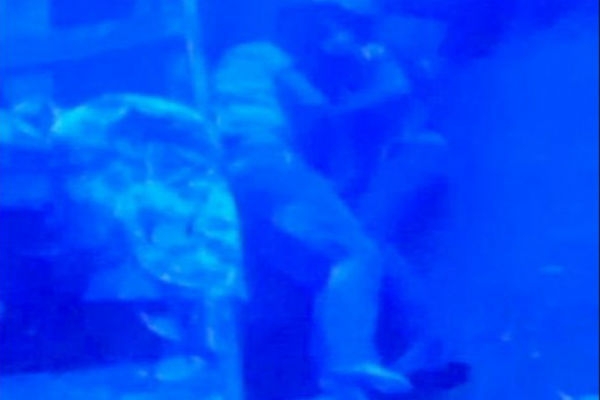 Juntos hasta la muerte y en el fondo del mar tras naufragio