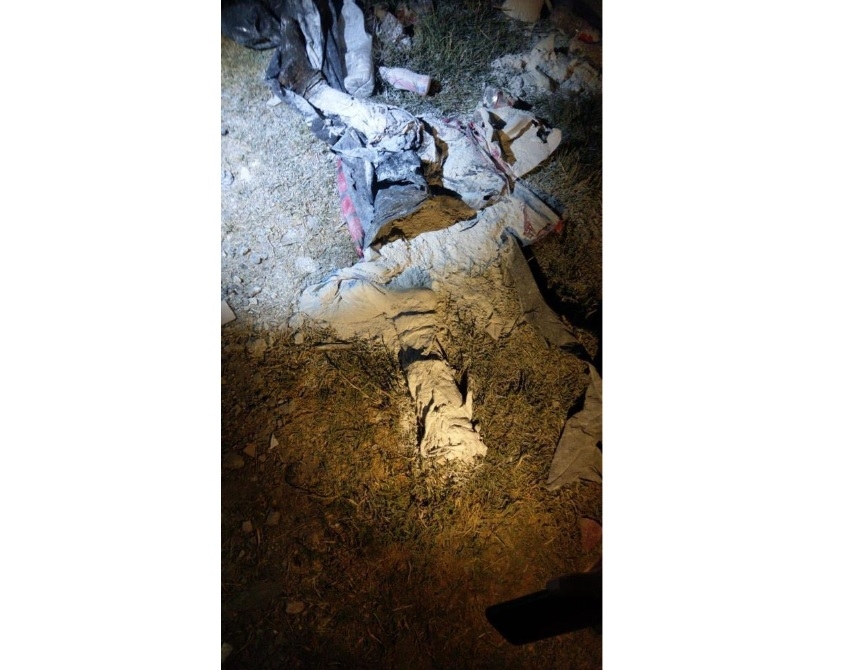 Perros comían de narcofosa en el mercado Morelos