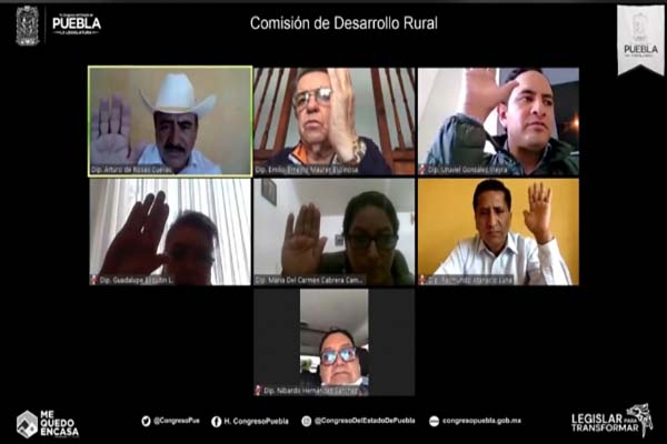 Congreso de Puebla pide impulsar producción y comercialización de la pitahaya