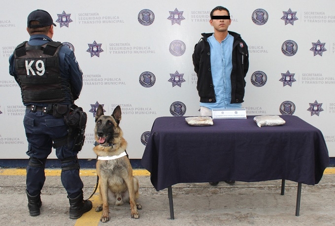K9 detuvo a sujeto con morfina en el interior de la CAPU