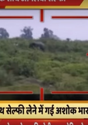VIDEO: Quiso selfie con elefante y murió aplastado