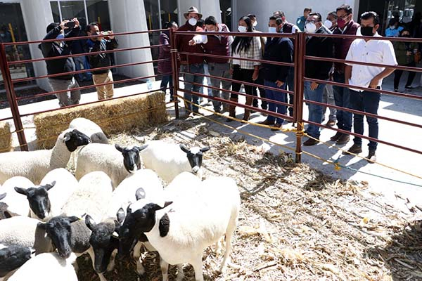 El campo, prioridad para el gobierno de Puebla: Ana Laura Altamirano