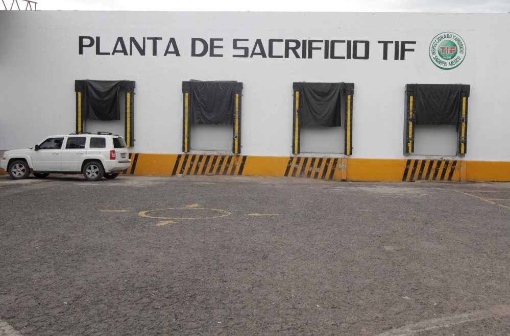 En “análisis” certificación TIF para el rastro de Puebla Capital