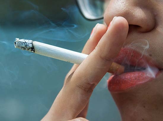 Investigadores crean plataforma informática para dejar de fumar