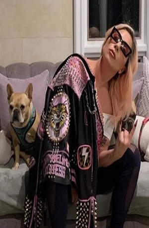 Lady Gaga ofrece 500 mil dólares para que le regresen a sus perros secuestrados