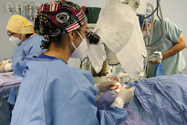 ISSSTEP realiza dos trasplantes de córnea