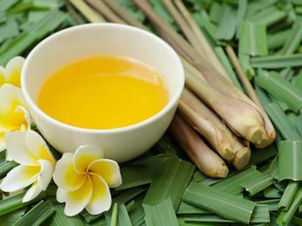 Todos los beneficios del té de hierba de limón