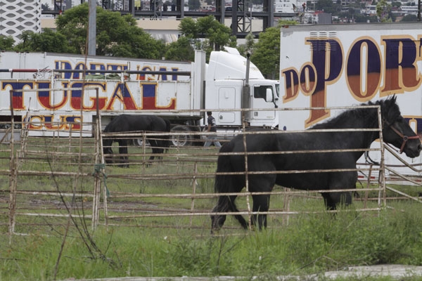 Guadalajara también prohíbe el uso de animales en circos