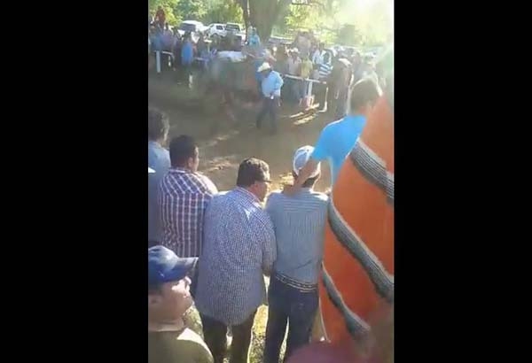 VIDEO: Caballo de carreras arrolla y mata a aficionado en Tabasco