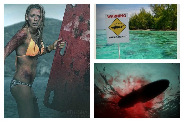 ¡Aguas! Regresan las películas de tiburones asesinos