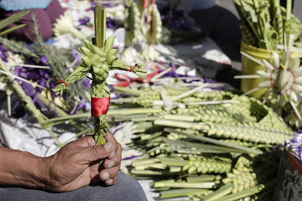 FOTOS: Palmas benditas, una tradición del Domingo de Ramos
